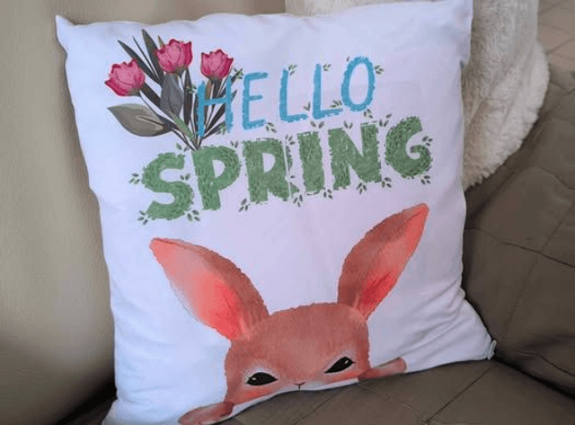 Housse de coussin 