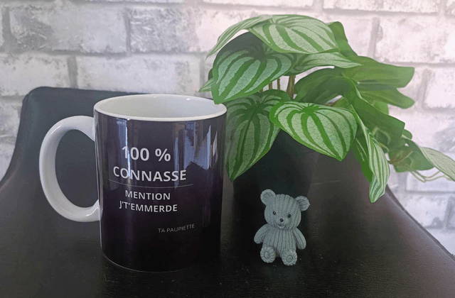 MUG 100% connasse 