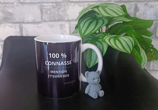 MUG 100% connasse 