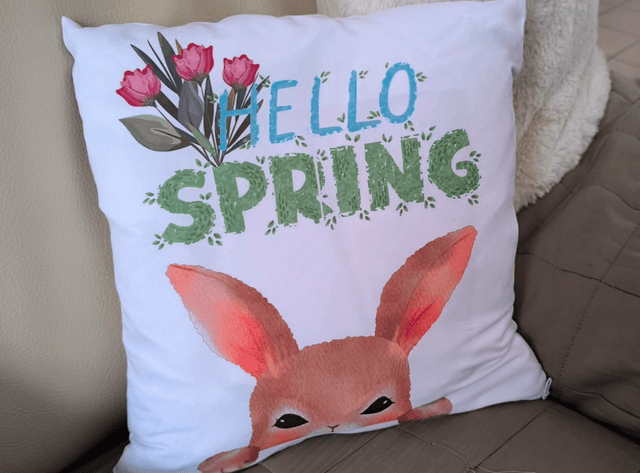 Housse de coussin 