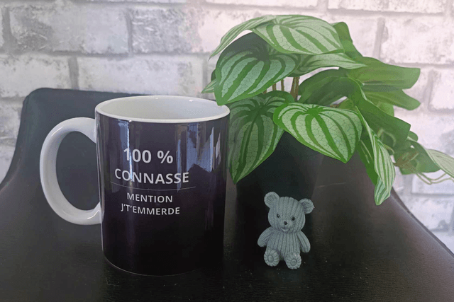 MUG 100% connasse 