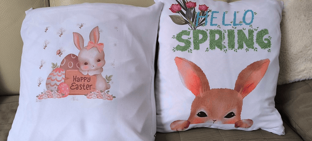 Housse de coussin 
